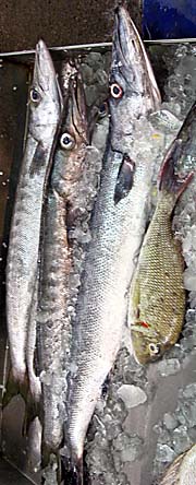 'Fish on the Freshmarkte in Chumpon' by Asienreisender